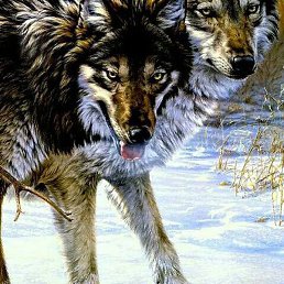 Hhhhcx6., �����, 37 ���