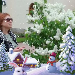 ���� �������, �����, 63 ���� - ��������� 15 ������ 2022