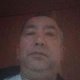 �����, ���������, 54 ����