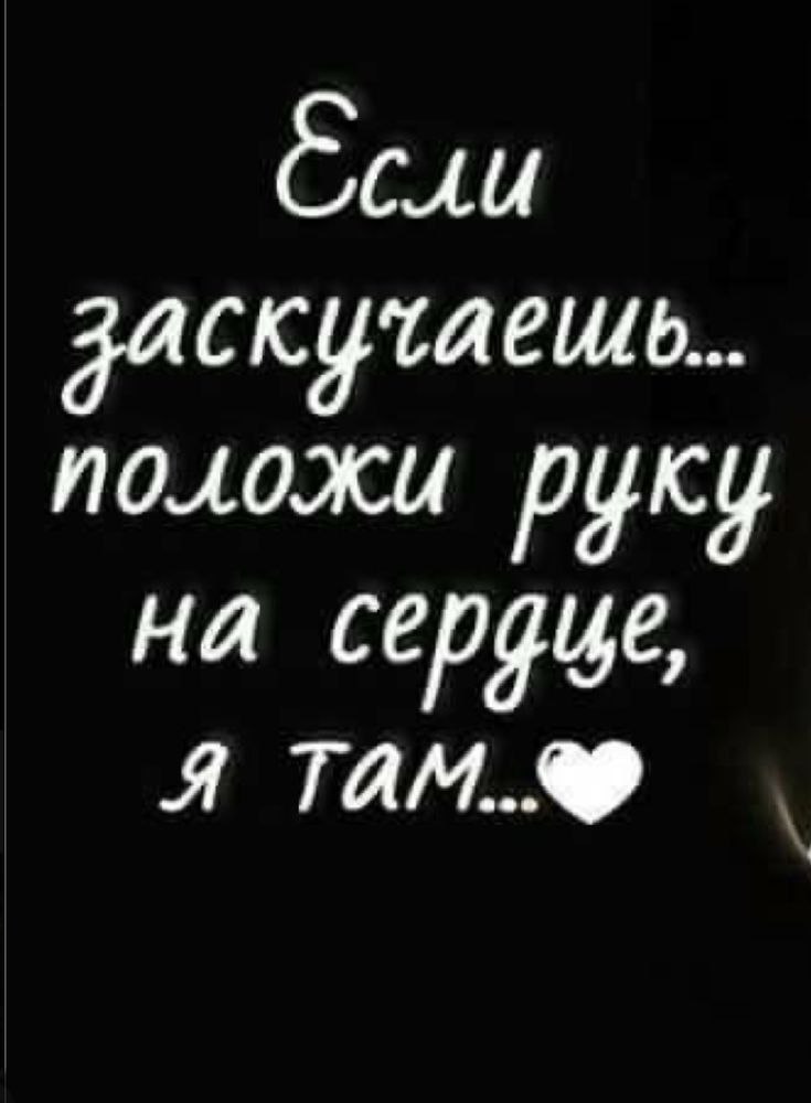   - 22  2022  22:33