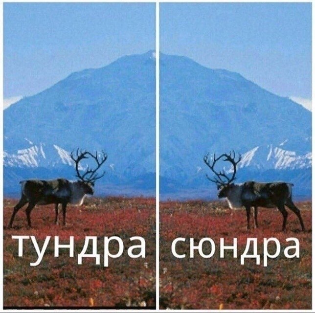 ))).             ... - 6