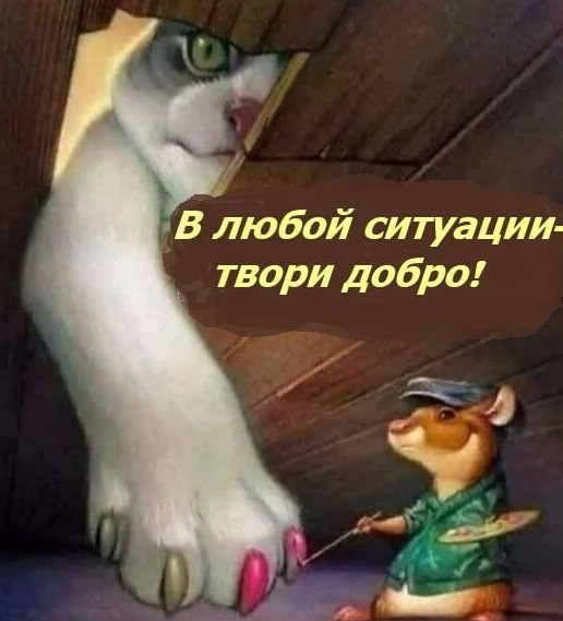  - 20  2022  07:18 - 2