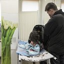 ���� ��������� ******, ������-��-���� - ��������� 3 ��� 2022 � ������ ������ ��������