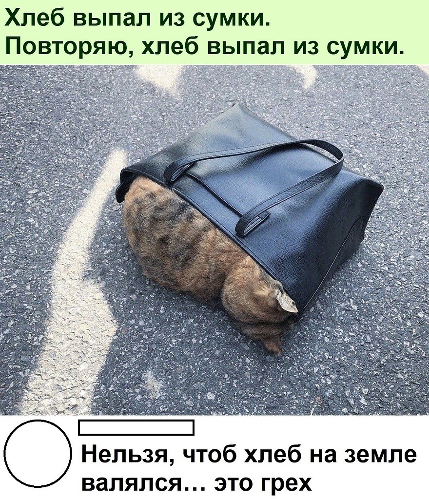 ������ ��������� :D - 10 ������� 2022 � 06:22
