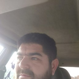 ���� �����, ������, 41 ��� - ��������� 6 ������ 2023