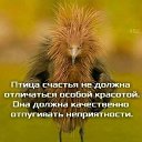 ���� �����, ������ - ��������� 18 ������� 2022 � ������ ������ ��������