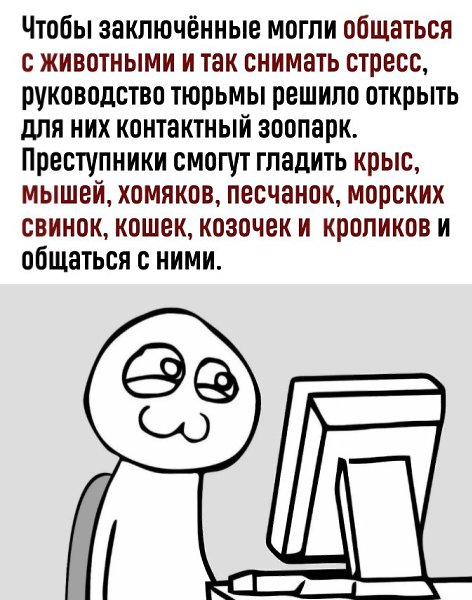   - 3