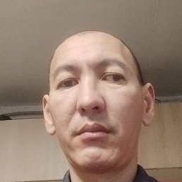 �����, ������, 38 ���