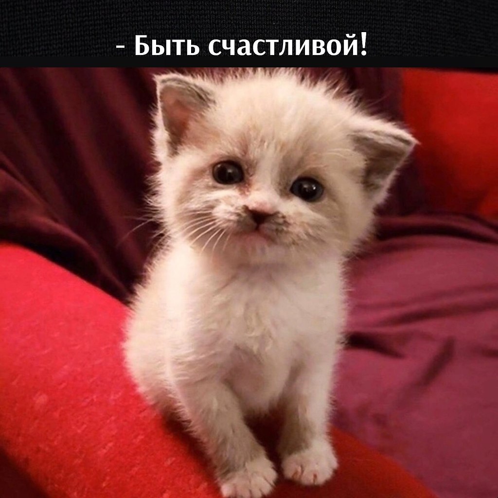       - 7  2023  11:30 - 2