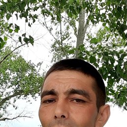  Tamaz, , 37  -  29  2022