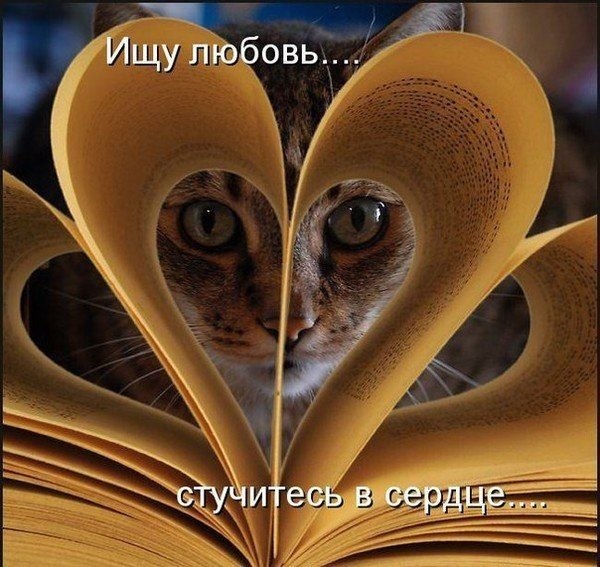    - 7  2022  21:34