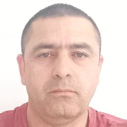 ������, ������, 46 ���