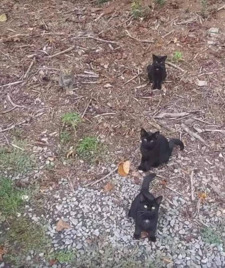 :)