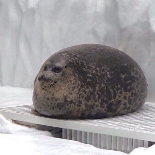    :) - 3