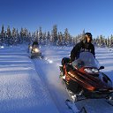 ���� ���������, �����, 56 ��� - ��������� 30 ������ 2023 � ������ ������ ��������