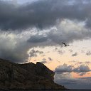 ���� ������, �����-���������, 57 ��� - ��������� 30 �������� 2022 � ������ �����, �� ������...�