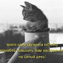 ���� ����, ���������, 54 ���� - ��������� 22 ������� 2022 � ������ ������ ��������