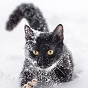 ���� �������, �������, 54 ���� - ��������� 1 ������� 2023 � ������ ������ ��������