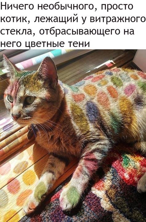   - 9  2022  11:43
