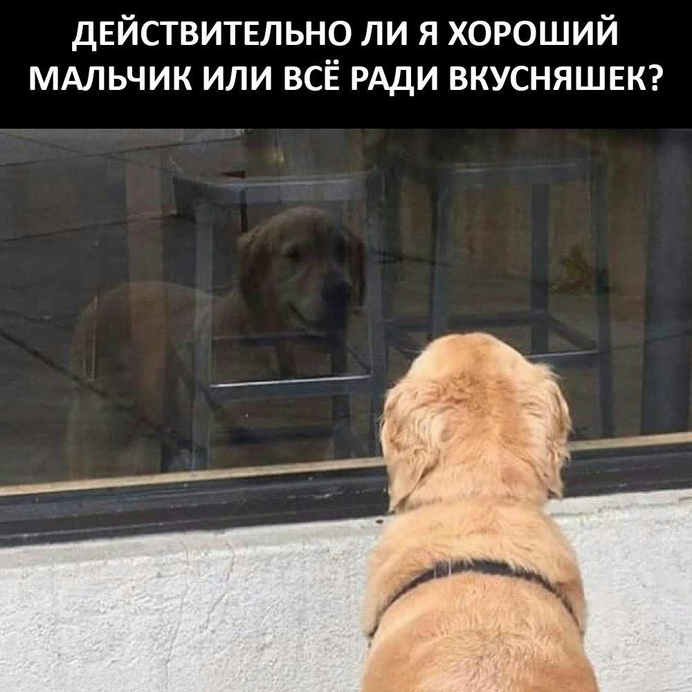 ��� �������� �������� - 7 �������� 2022 � 12:18