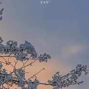 , 21 , 