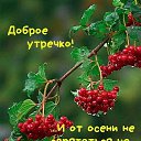  , , 55  -  13  2022    