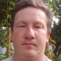 ����, �������, 44 ����