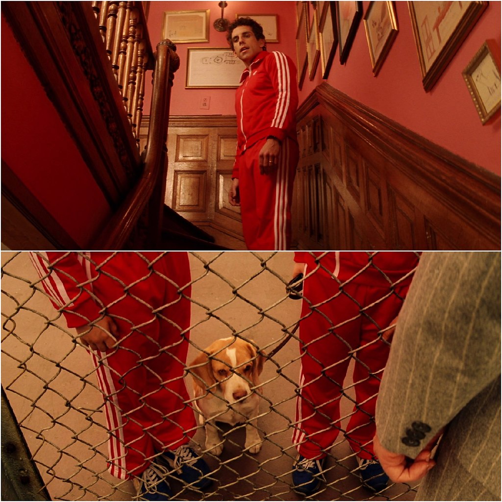   / The Royal Tenenbaums (2001).:  :  .  - 6