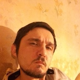 , 36, 