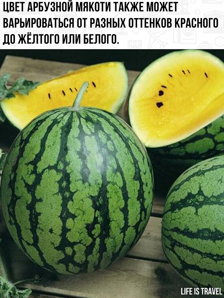     ,      . - 2