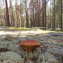 ���� �����, ������, 65 ��� - ��������� 15 ���� 2022 � ������ ���� ����������