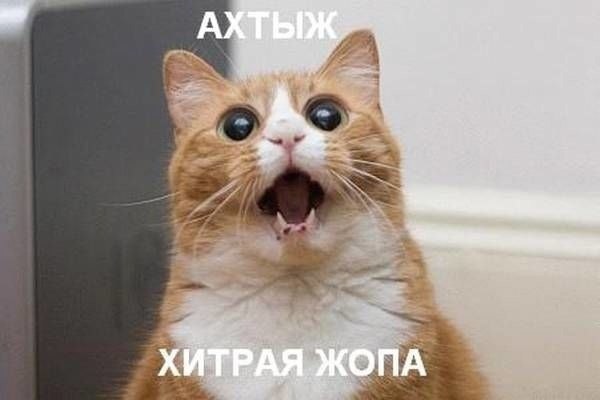    - 7  2022  13:21