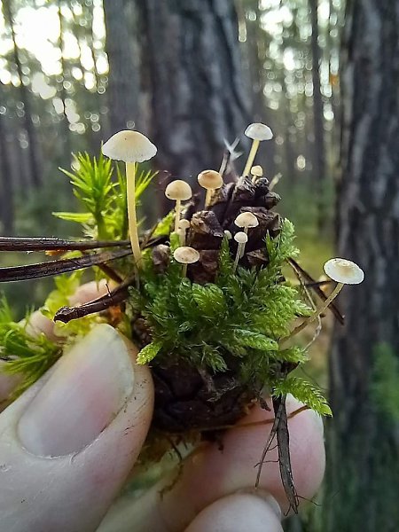 :)   ,  !