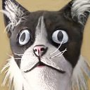 ���� E - Not, ������, 38 ��� - ��������� 23 ������ 2022 � ������ ���� ����������