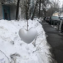 Samandar, ������, 21 ���