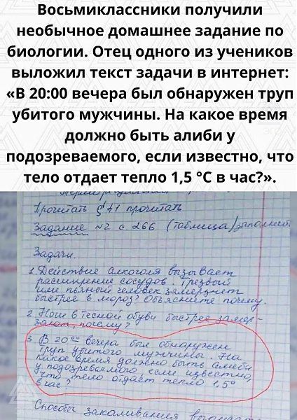Очень нестандартное задание. Даже не знаю, как к такому относиться... - 2