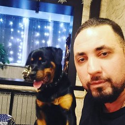 ���������, �������, 36 ���