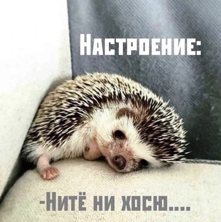 :)   ,  .,    .  ,  ...