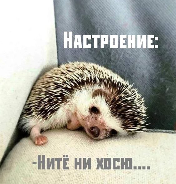   - 8  2023  12:52