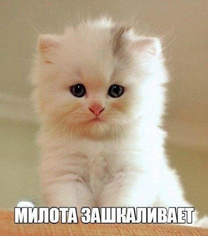    - 29  2022  11:14