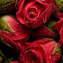 ���� ����, ������, 38 ��� - ��������� 12 ������� 2023