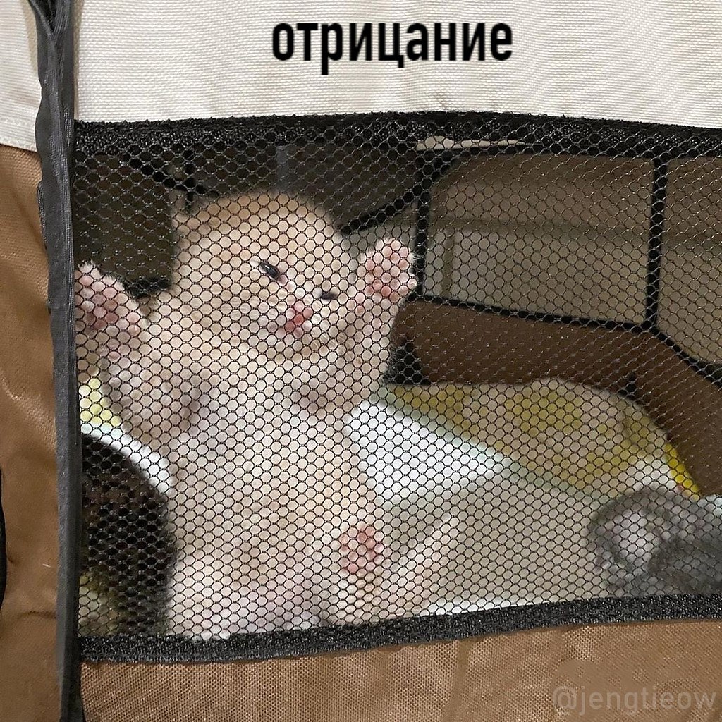    :