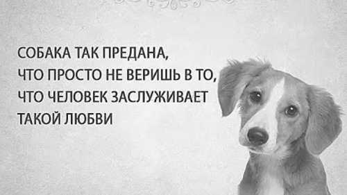  - 29  2022  15:39