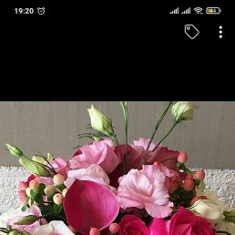 , , 46 