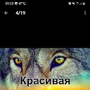  , , 68  -  8  2022    