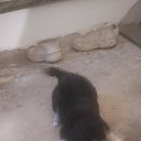 ���� �����, �����, 62 ���� - ��������� 9 ������ 2023