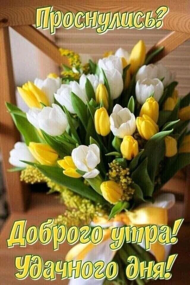 ЧУДЕСНОГО ДНЯ , СОЛНЦА И ТЕПЛА ! Пускай всегда улыбки вас встречают... Тепло души согреет вам ...