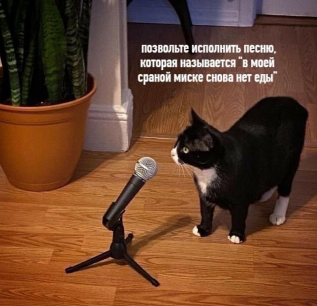    - 5  2022  14:19