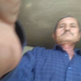 ���� ���, �����, 53 ���� - ��������� 15 ������� 2023