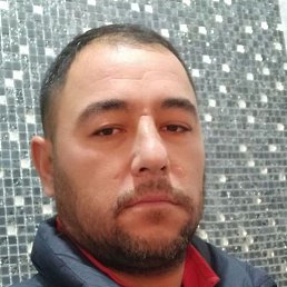 ����, ������, 41 ���